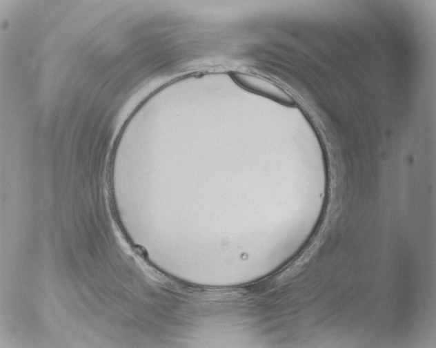 X0000051251440200507152138