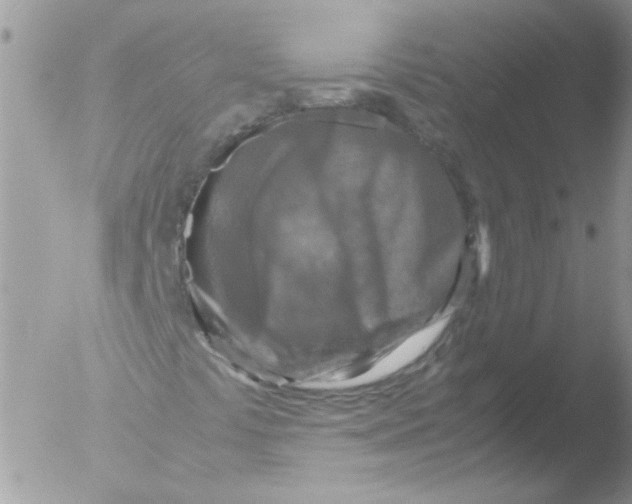 X0000051251441200507152137