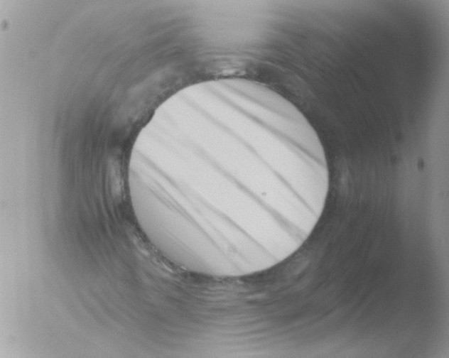 X0000051251442200507152137