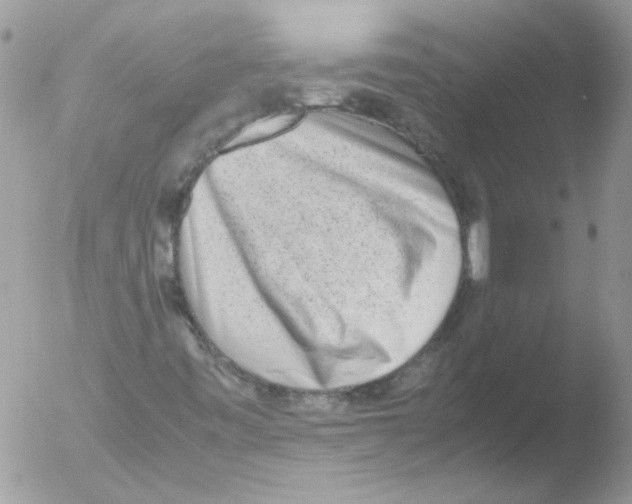 X0000051251443200507152137