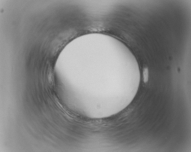 X0000051251444200507152137