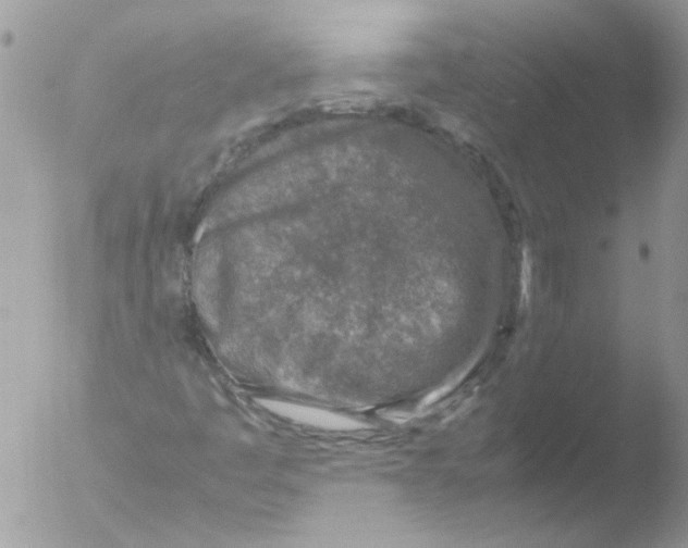 X0000051251445200507152137