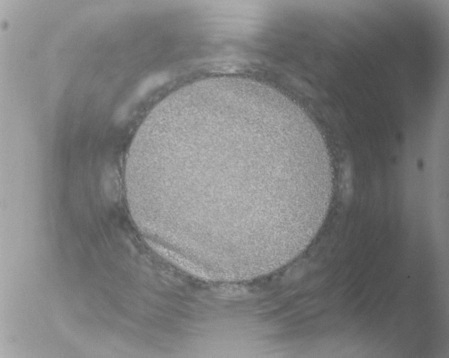 X0000051251446200507152137