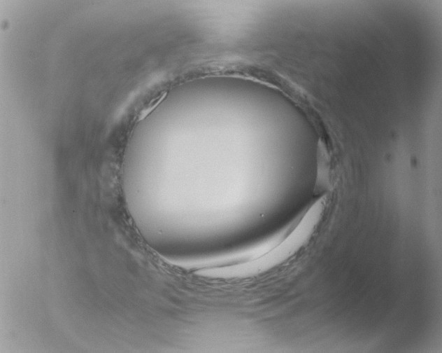 X0000051251447200507152137