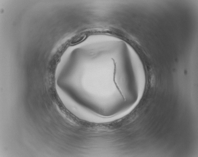 X0000051251448200507152137