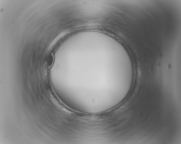 X0000051251450200507152137