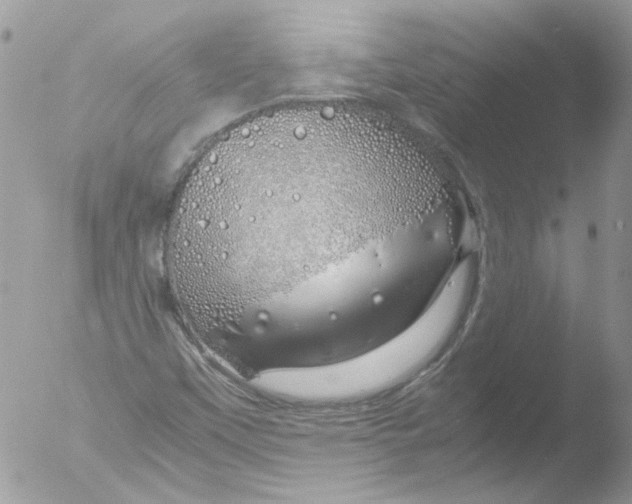 X0000051251451200507152137