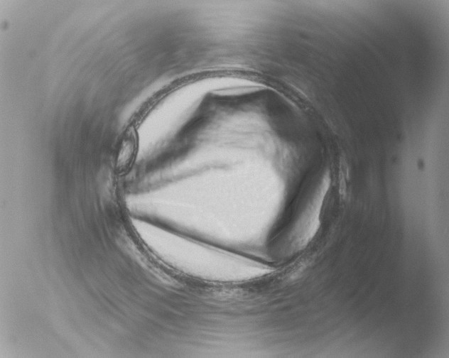 X0000051251452200507152137