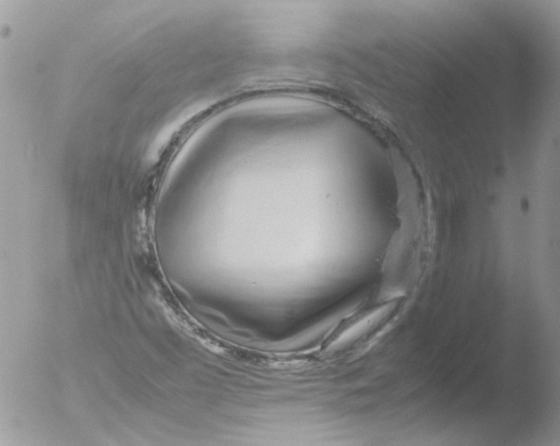 X0000051251453200507152137