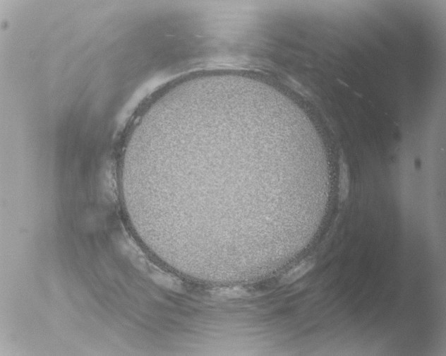 X0000051251454200507152137