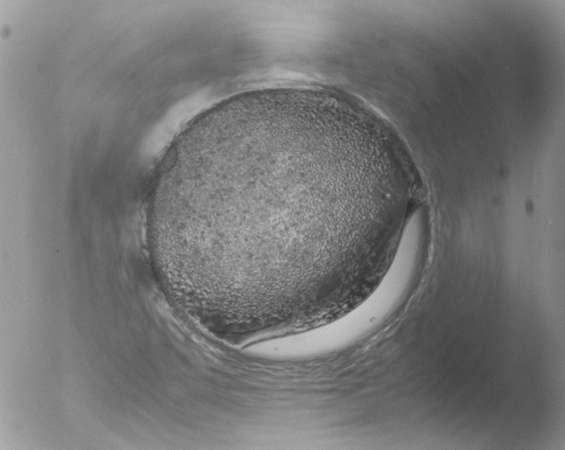 X0000051251455200507152137