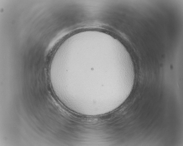 X0000051251456200507152137