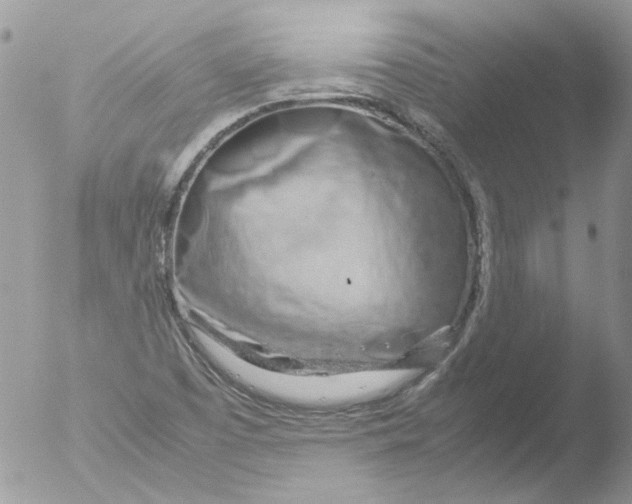 X0000051251457200507152137