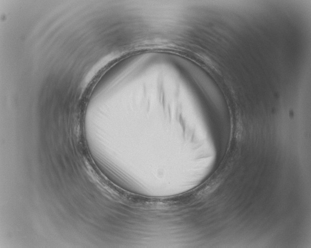 X0000051251458200507152137