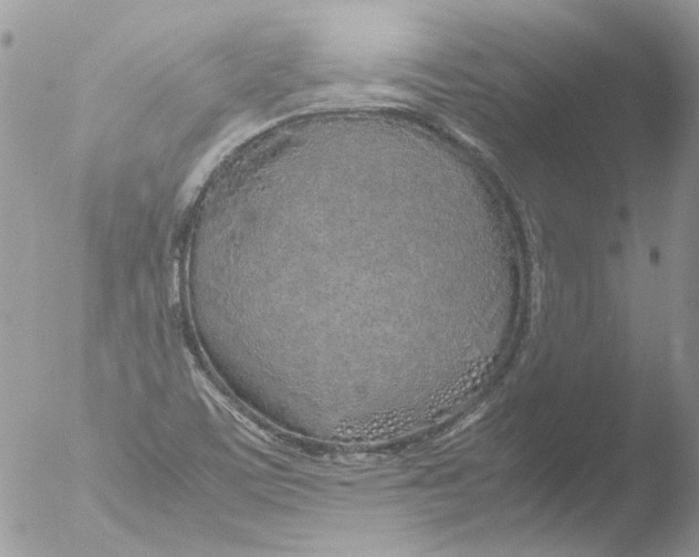 X0000051251459200507152137