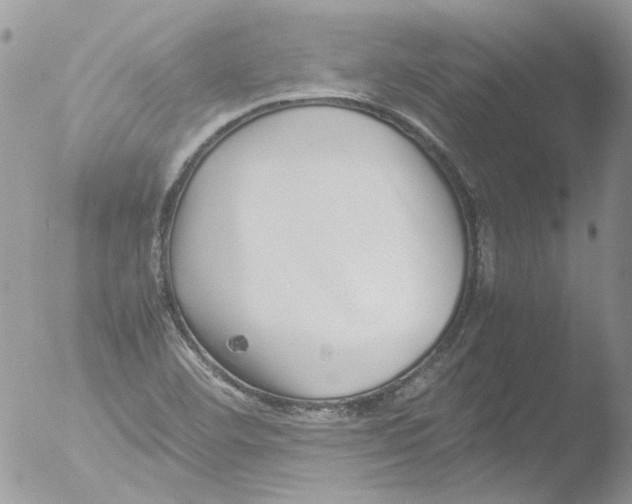 X0000051251460200507152137