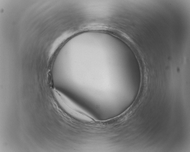 X0000051251461200507152137