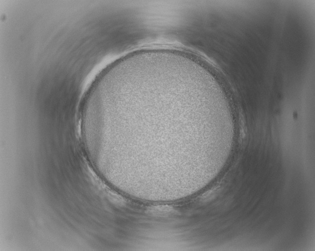 X0000051251462200507152137