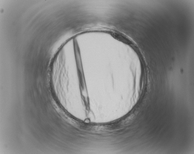 X0000051251463200507152137