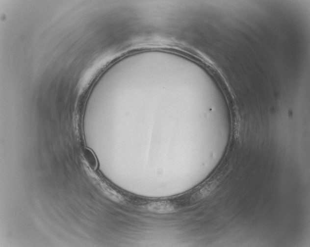 X0000051251464200507152137