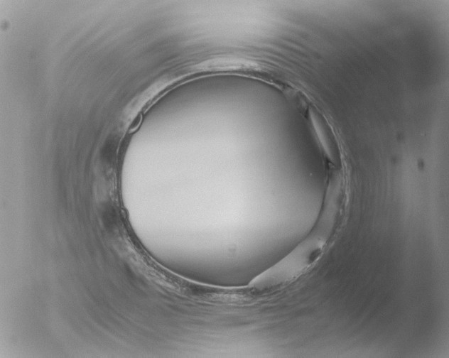 X0000051251465200507152137