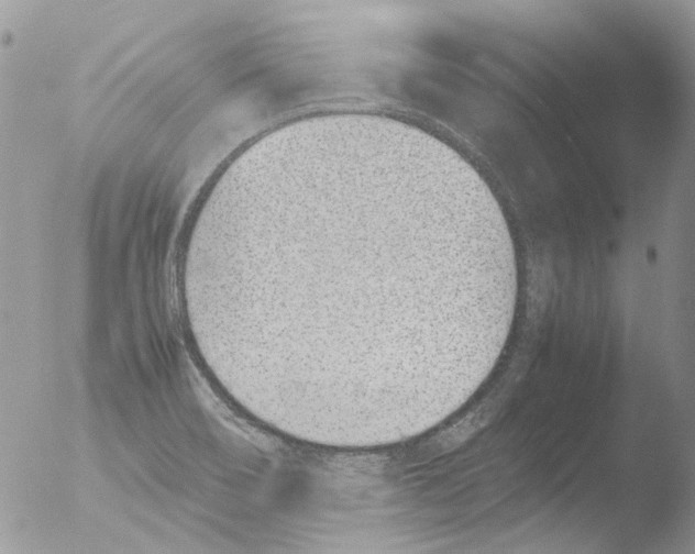 X0000051251466200507152137