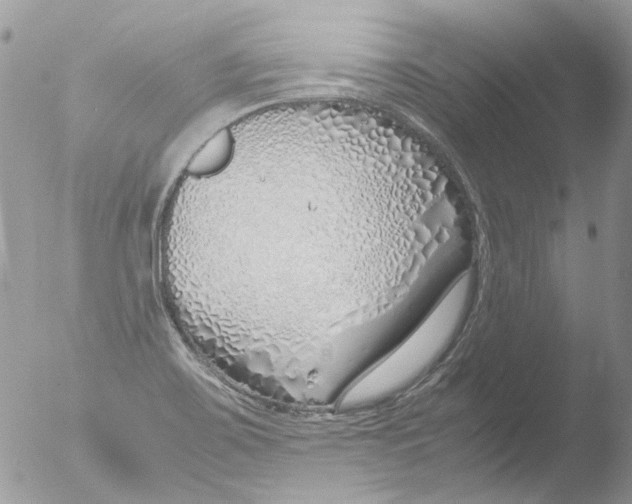 X0000051251467200507152137