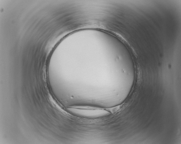 X0000051251468200507152137