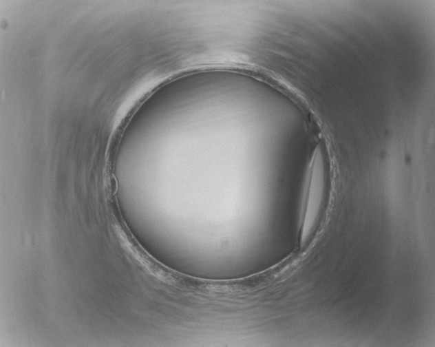 X0000051251469200507152137