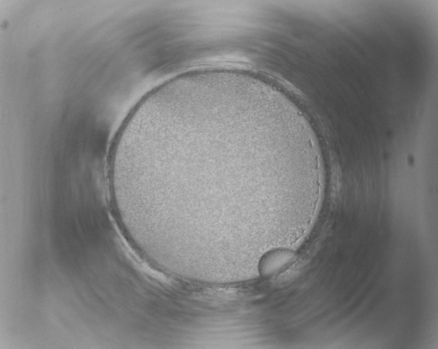 X0000051251470200507152137