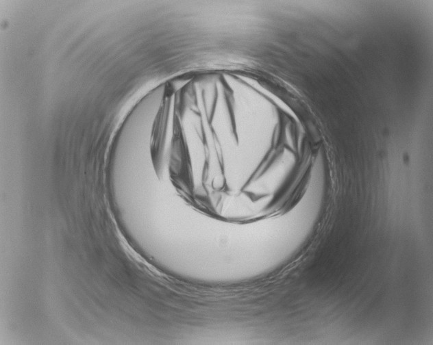 X0000051251471200507152137