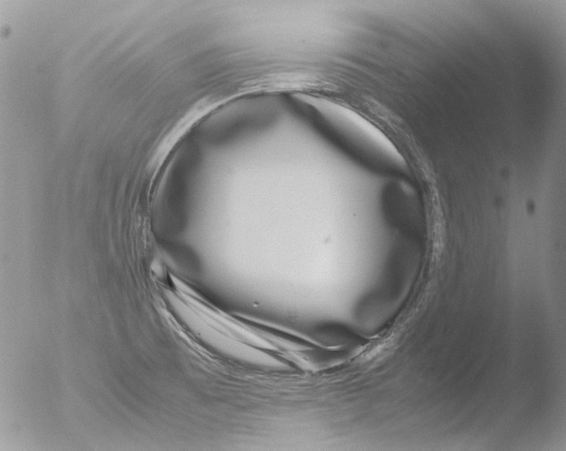 X0000051251473200507152137