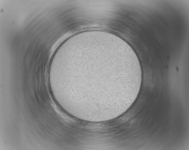 X0000051251474200507152137