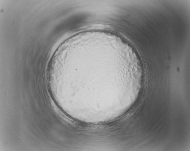 X0000051251475200507152137