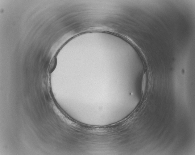 X0000051251476200507152137