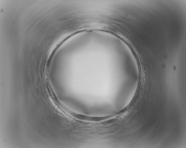 X0000051251477200507152137