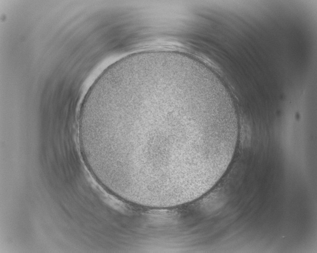 X0000051251478200507152137