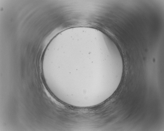 X0000051251479200507152137