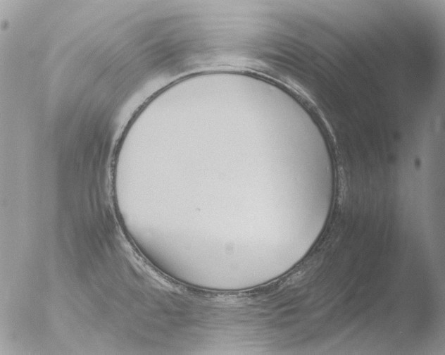 X0000051251480200507152137