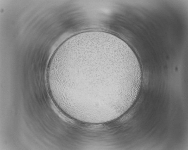 X0000051251482200507152137