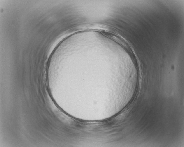 X0000051251483200507152136