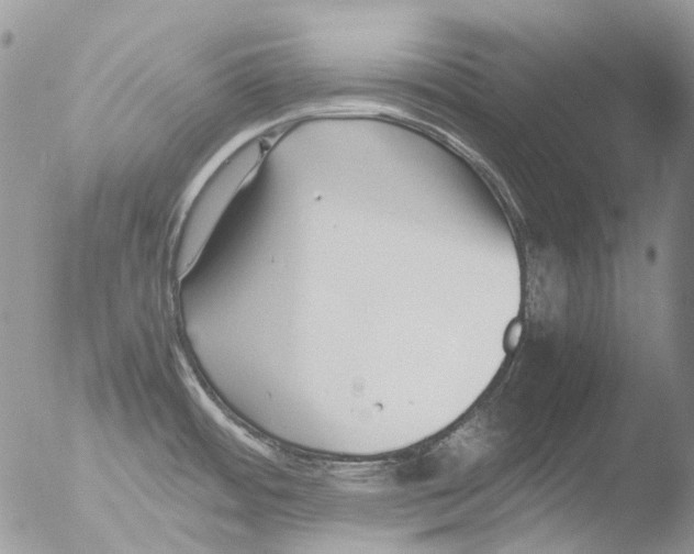 X0000051251484200507152136