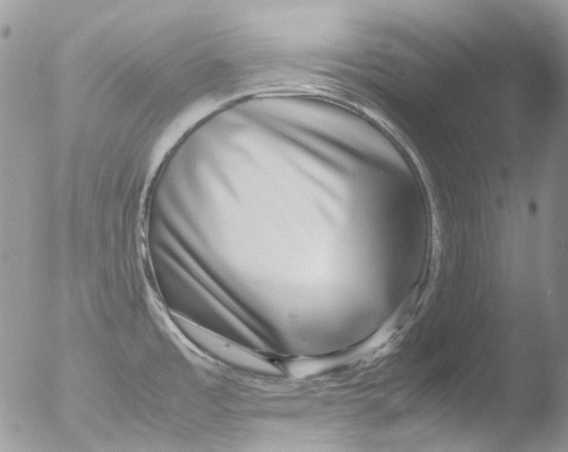 X0000051251485200507152136