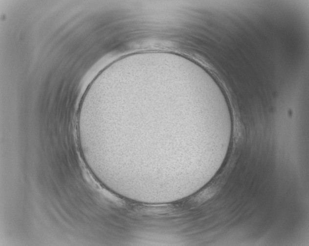 X0000051251486200507152136