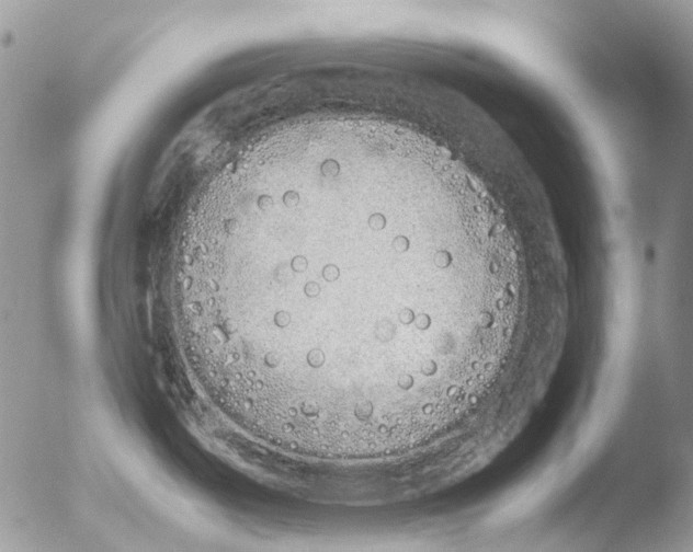 X0000051251487200507152136