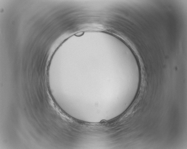 X0000051251488200507152136