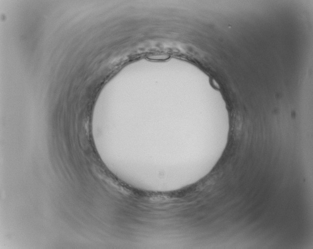 X0000051251489200507152136