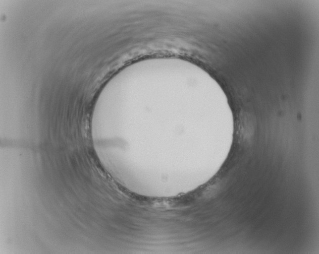 X0000051251490200507152136