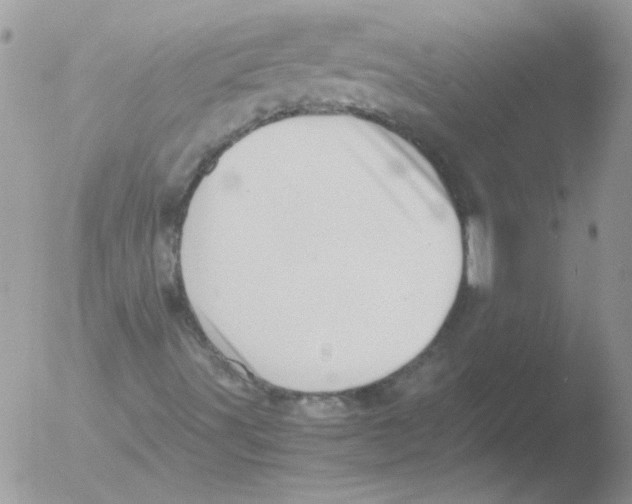 X0000051251491200507152136