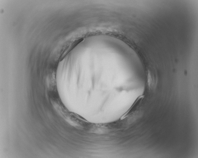 X0000051251492200507152136